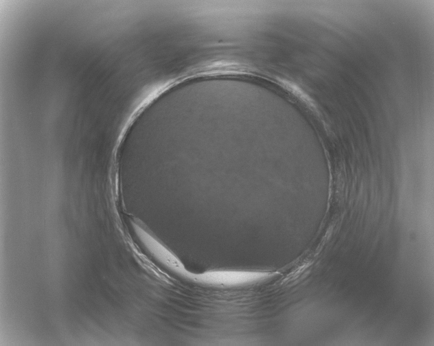 X0000054351413200508190116.png