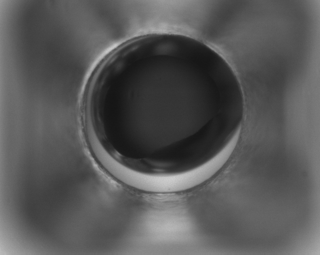 X0000054731152200508171845.png