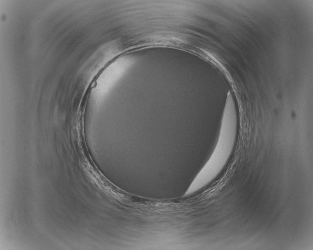 X0000054170899200508101756.png