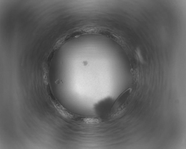 X0000055210234200508301330.png