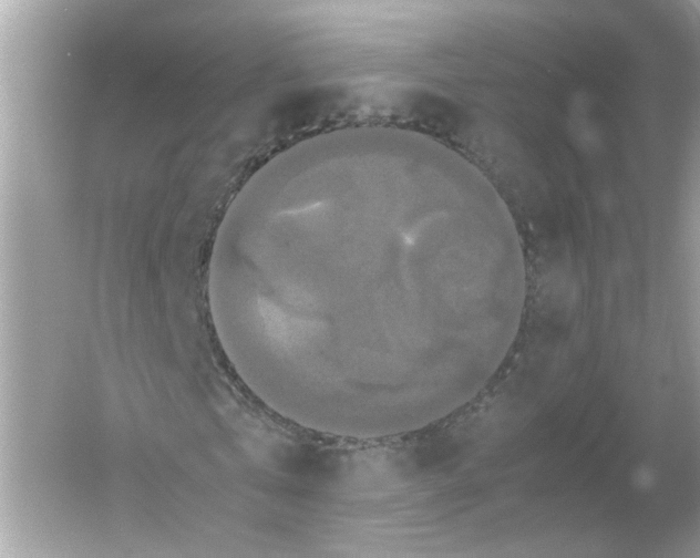 X0000054350769200508190127.png