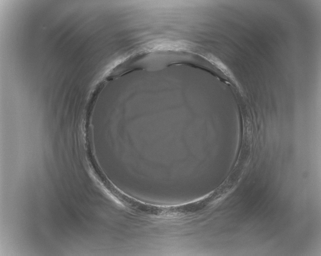 X0000054350581200508190130.png