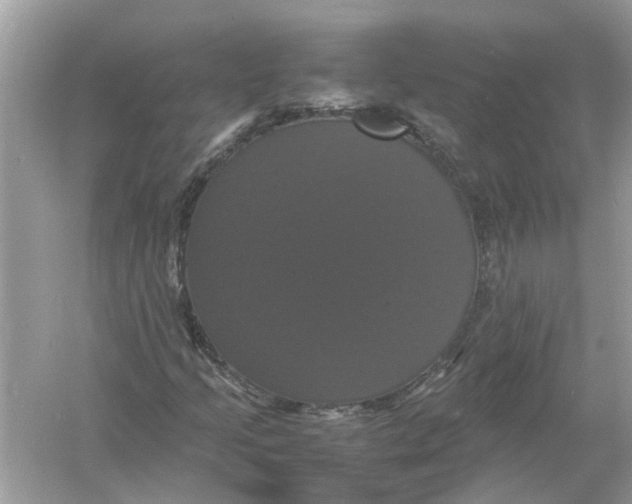 X0000054351205200508190119.png