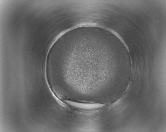 X0000054301245200508042302.png