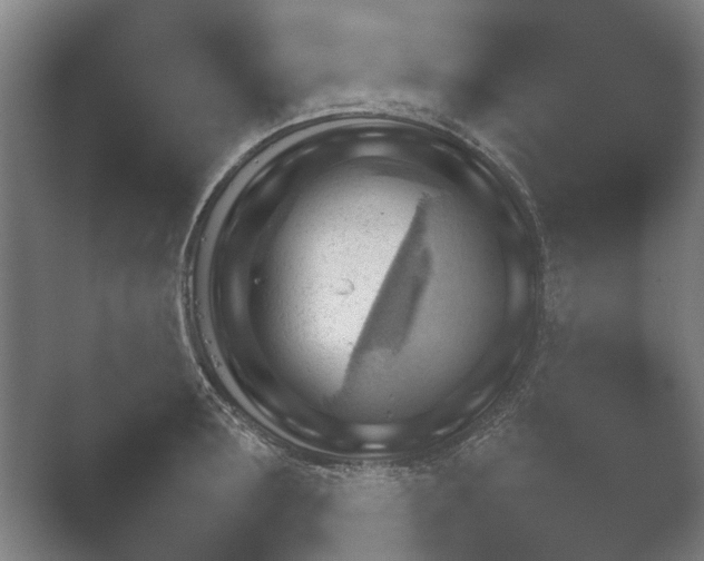 X0000052280899200507132025.png