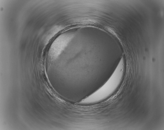 X0000054171071200508101754.png