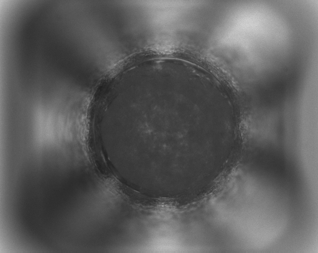 X0000043850596200412151206.png