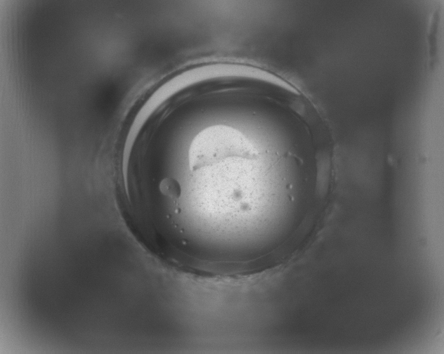 X0000054110007200508022111.png