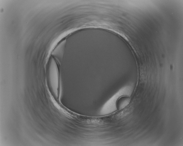 X0000054171515200508101746.png