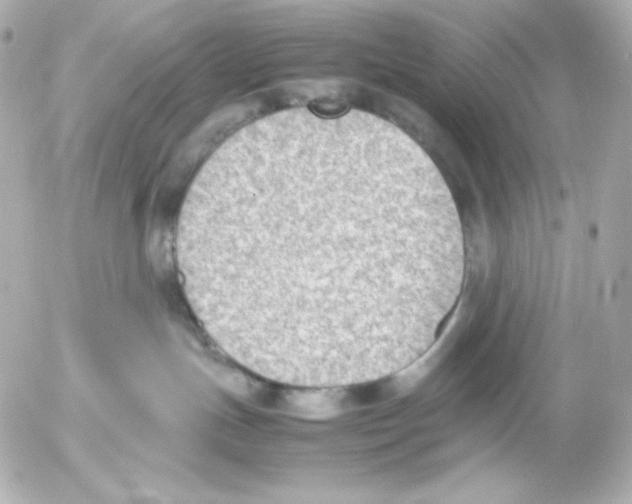 X0000054230191200508171521.png