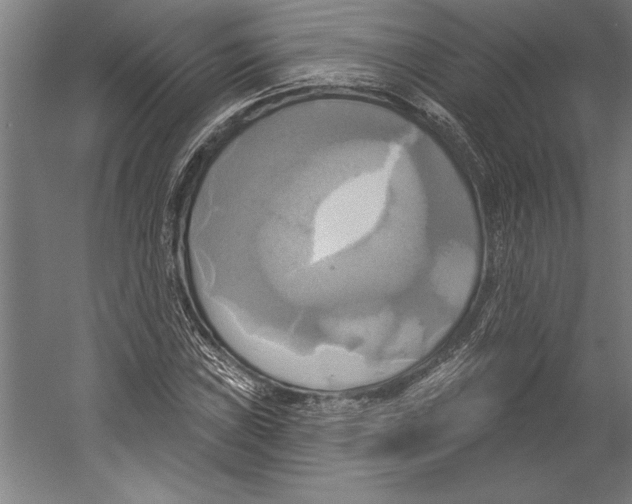 X0000055251019200509071610.png