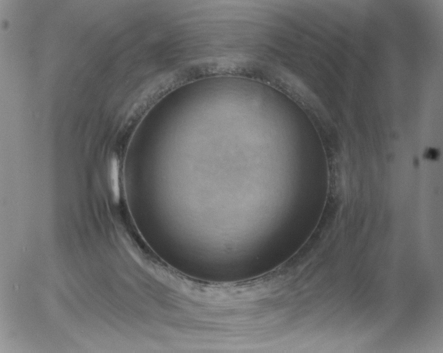 X0000054650022200508091653.png