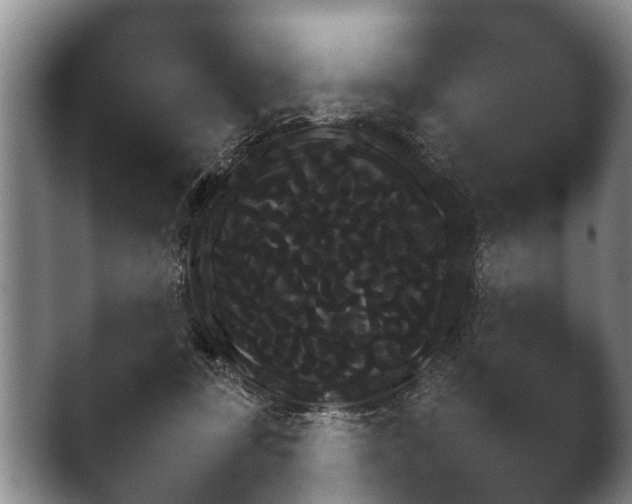 X0000041030367200411081240.png
