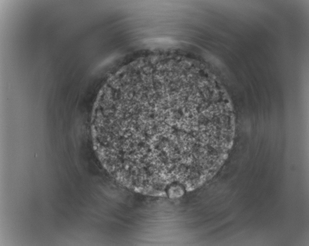 X0000053461063200508112151.png