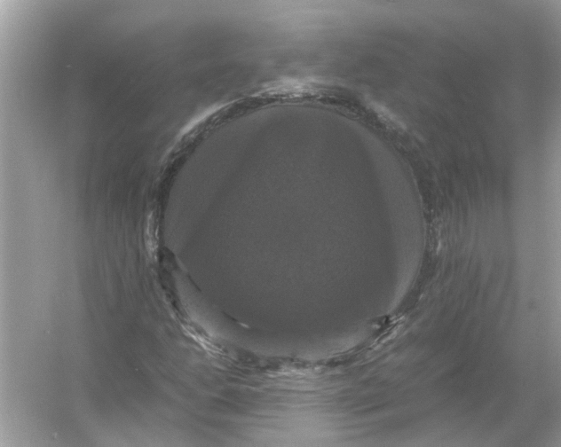 X0000054351206200508190119.png