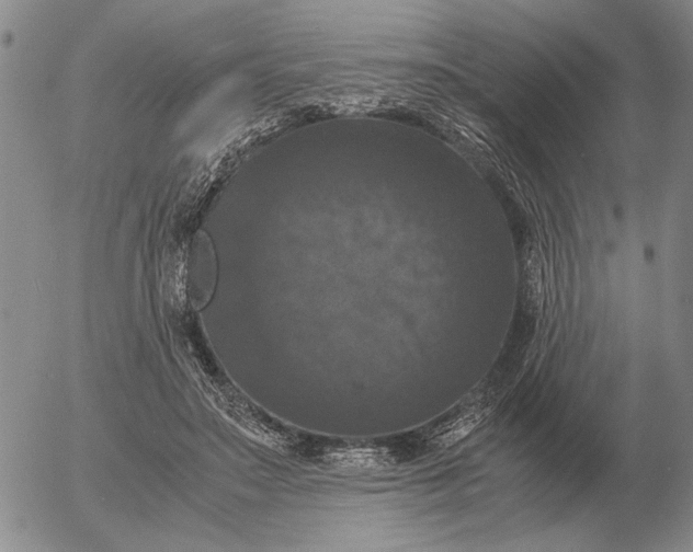 X0000054170499200508101803.png