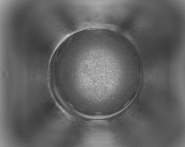X0000052281487200507132015.png