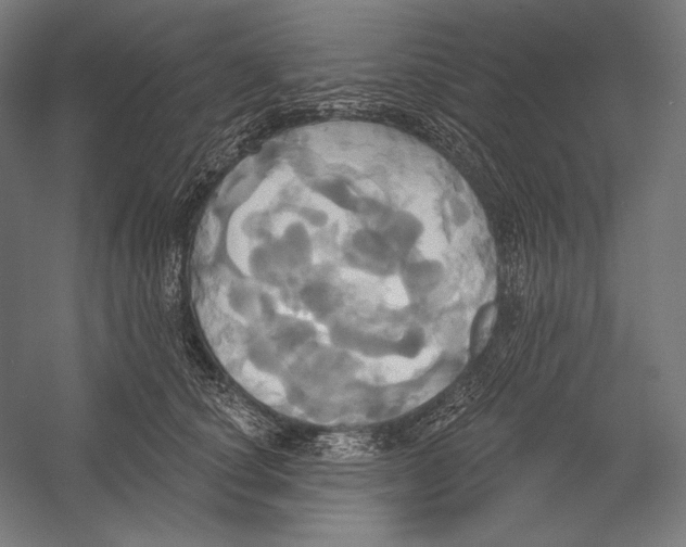 X0000055250660200509071617.png