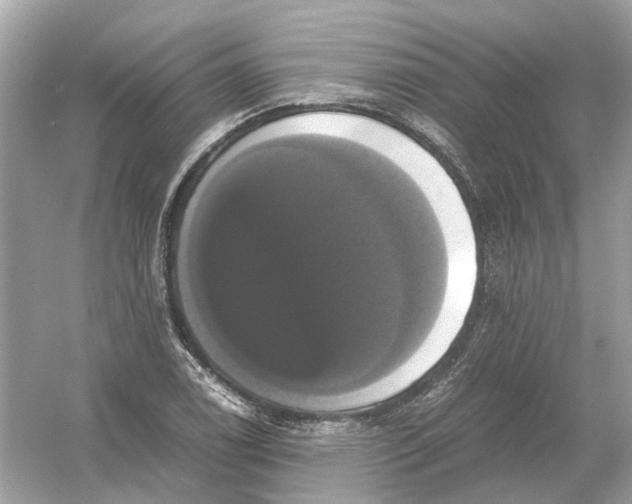 X0000054351122200508190121.png