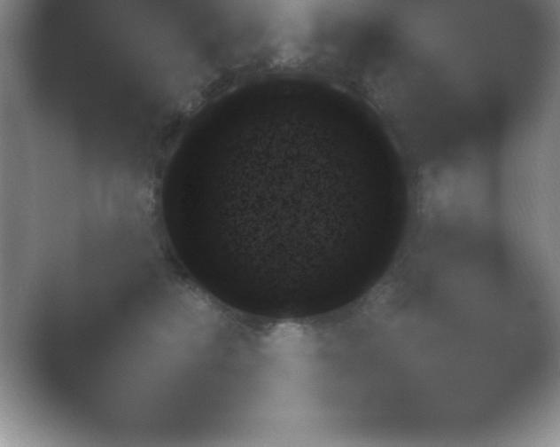 X0000054730230200508171900.png