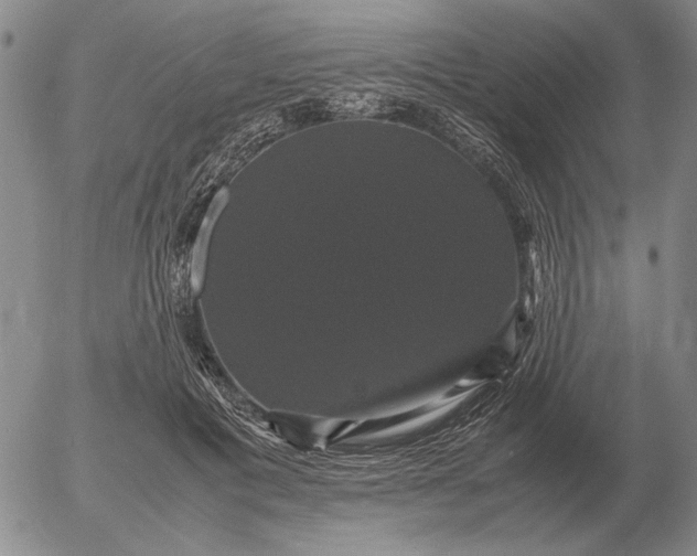 X0000054170601200508101801.png