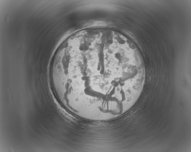 X0000055251475200509071602.png