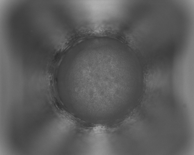 X0000052150366200507051957.png