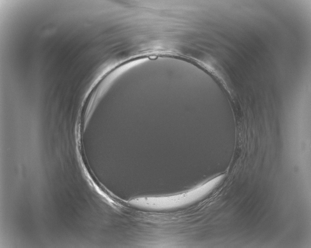 X0000054351383200508190117.png