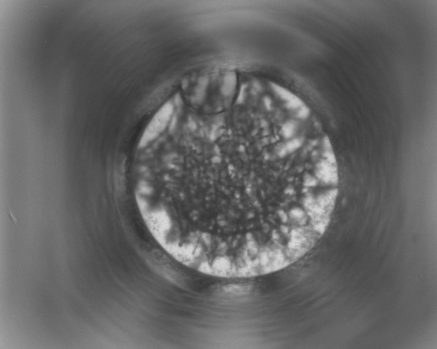 X0000053460163200508112206.png