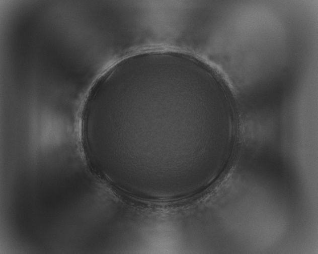X0000047501365200503161502.png