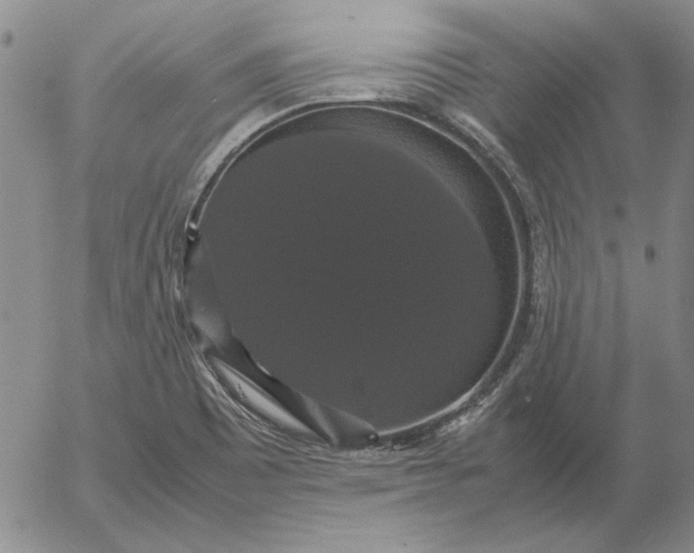 X0000054171465200508101747.png