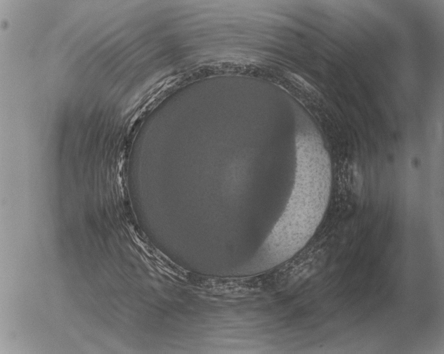 X0000054170774200508101758.png