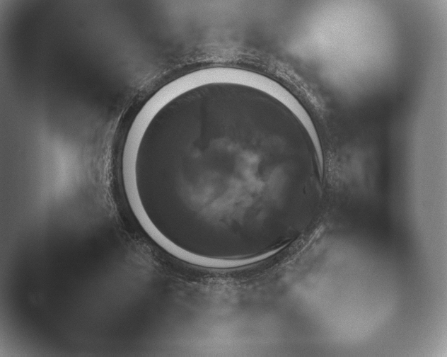 X0000045450203200502011705.png