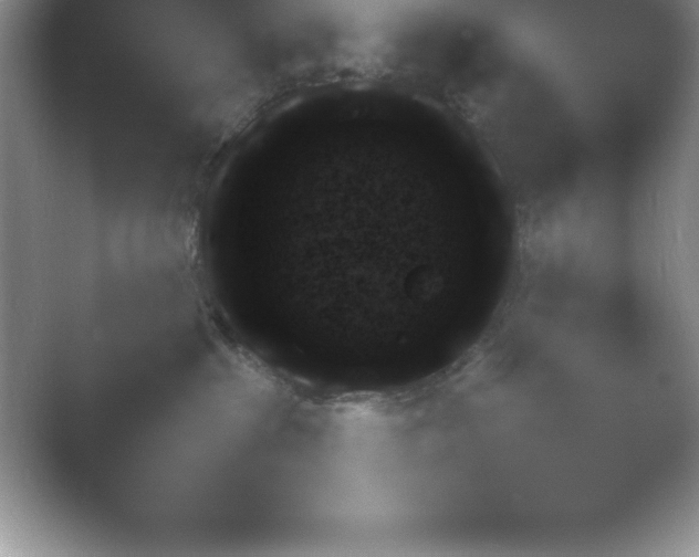 X0000054730285200508171900.png