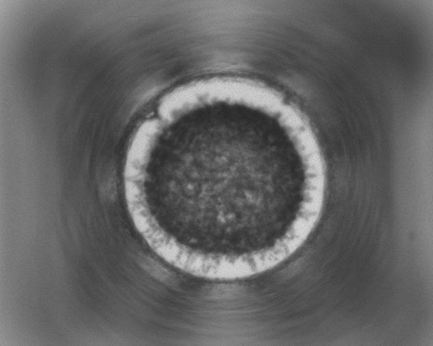 X0000053461306200508112147.png