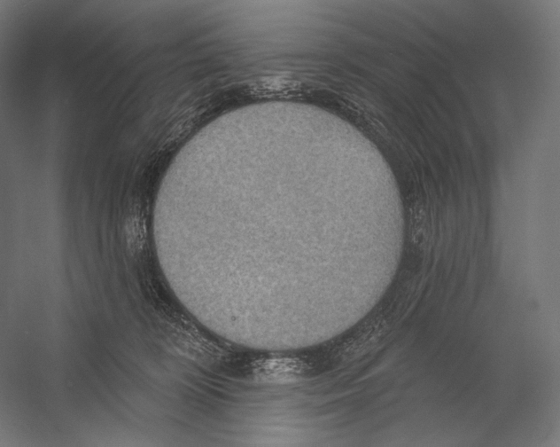 X0000055250324200509071622.png