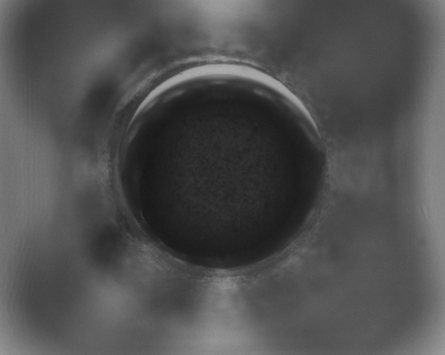 X0000054730295200508171859.png