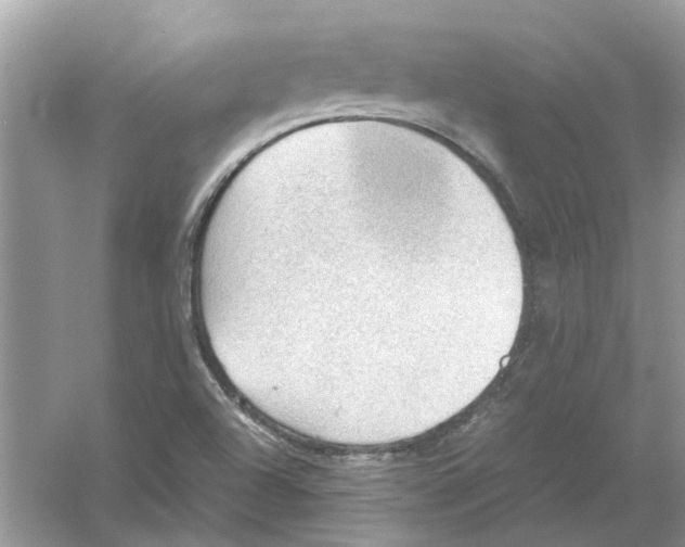 X0000054271504200508261902.png