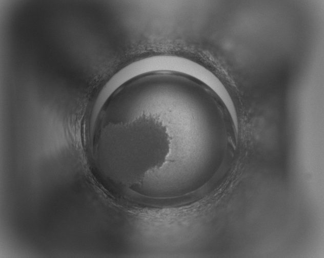 X0000052020019200507181638.png