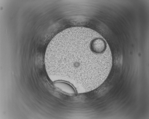 X0000054581108200508300053.png