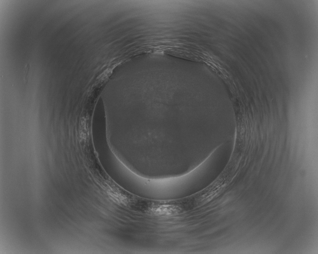 X0000055060467200508161650.png