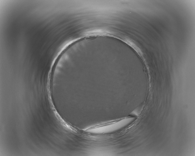 X0000054351392200508190117.png