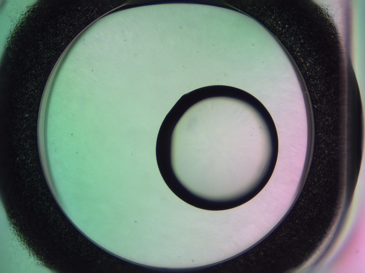 01gh_D5_ImagerDefaults_0.jpg