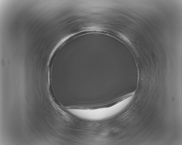 X0000054351323200508190118.png