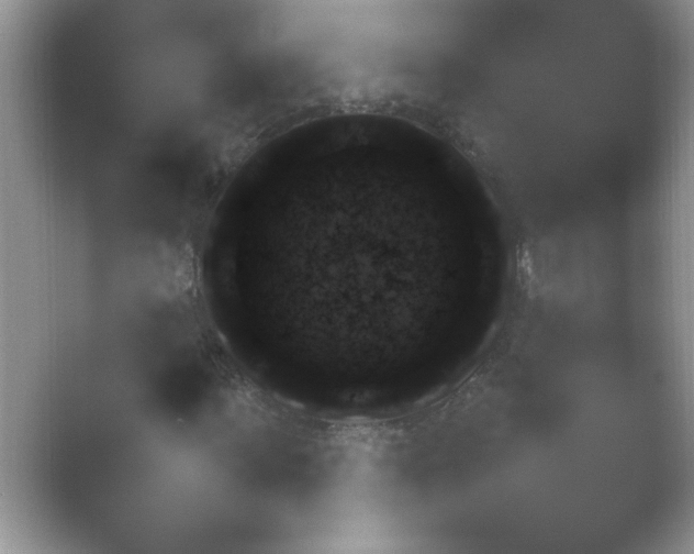 X0000054730963200508171847.png