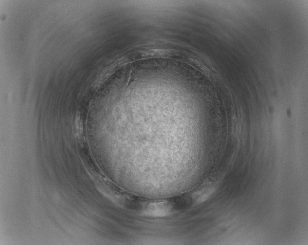 X0000054650173200508091651.png
