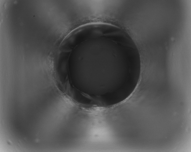 X0000054730192200508171901.png