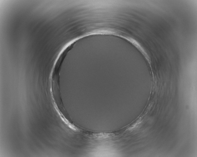 X0000054350862200508190126.png