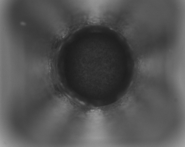 X0000054730271200508171859.png