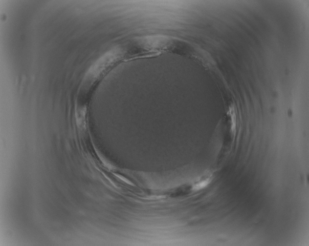 X0000054170239200508101807.png